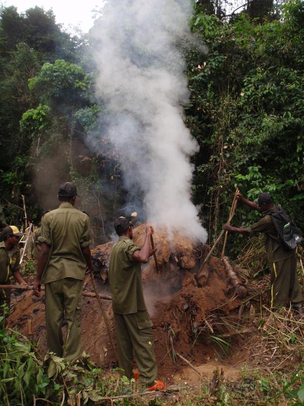 12 On the road with the eco guards of the Luki reserve to destroy illegal charcoal pits..jpg